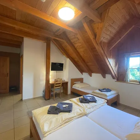 Centrum Slezska Harta Guest house 3*